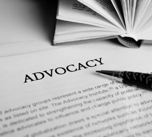 Legal Advocacy Pro: Skills for Success